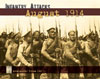 Infantry Attacks August 1914